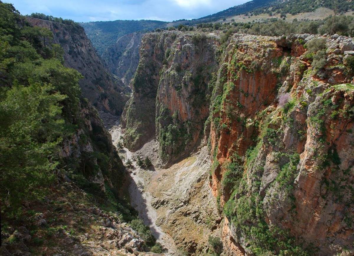 Aradaina